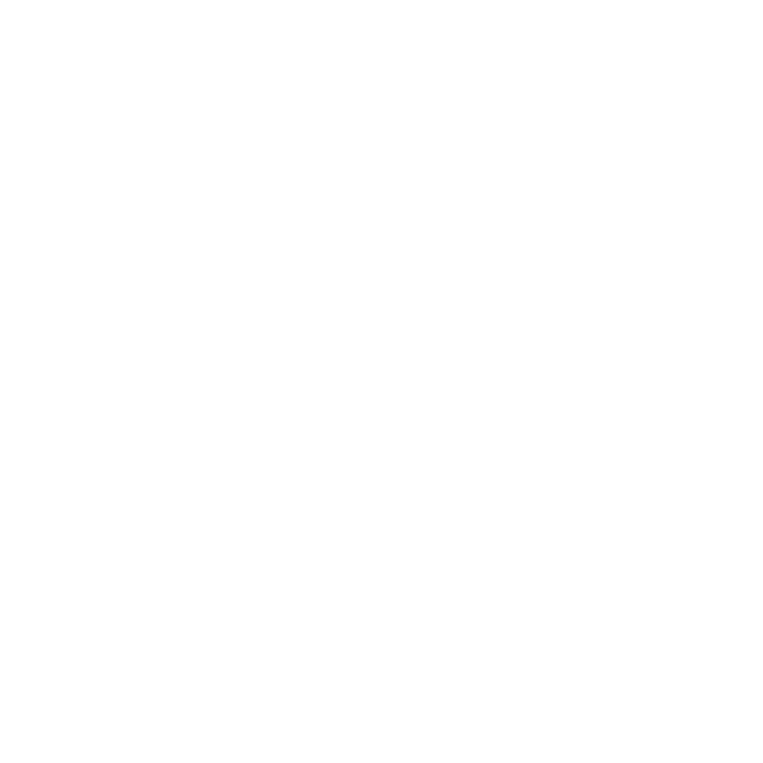 https://commonvaluesparty.org/wp-content/uploads/2026/07/3.png